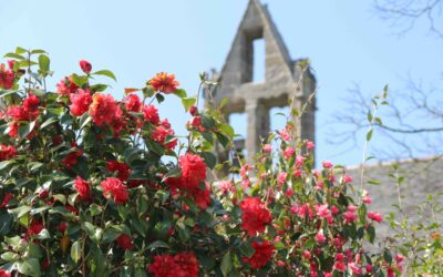 3 mai 2026 Pardon Saint Jaoua